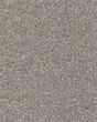 Novel Flair Textured 52oz Carpet