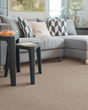 Gentle Quality Kashmere Nylon Carpet