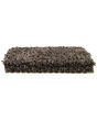 Gentle Quality Kashmere Nylon Carpet