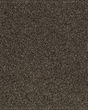 Gentle Quality Kashmere Nylon Carpet