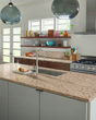 Giallo Ornamental Granite Countertop