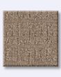 Glamorous Portrait Oxford Tan 50oz Anso Nylon Patterned Carpet