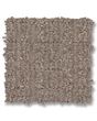 Glamorous Portrait Taupestone 50oz Anso Nylon Patterned Carpet
