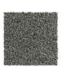Graceful Intrigue Textured 50oz Carpet