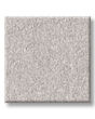 Hard At Play I 39oz Textured Carpet