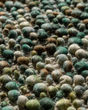 Hanu HU1 Teal Area Rug