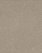 Hypnotic Attraction SmartStrand Carpet