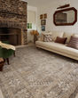 Ida IDA-01 Taupe/Multi Area Rug