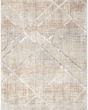 Iliana ILI03 Grey Mocha Area Rug