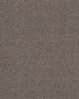 Impressions Nylon 63oz Carpet