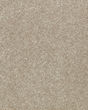 Industrial Tones SmartStrand Forever Clean Ultra Carpet