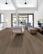 Infinite Spc Vista Luxury Vinyl