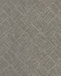 Inspired Glamour SmartStrand Carpet