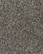 Jackson Hole I Textured 42oz Carpet