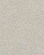 Just A Hint I Textured 43oz Carpet