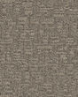 Serene Fashion Pattern Nylon Carpet