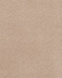 Island Mood Textured Nylon Carpet