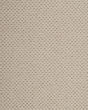 Kenetic Detail SmartStrand 55oz Carpet