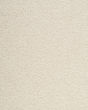 Delightful Intent SmartStrand 42oz Carpet