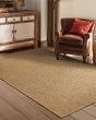 Karavia 2160n Tan Area Rug