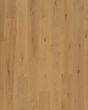 The Gault Estate Norwich Honey Oak 8.5" Hardwood