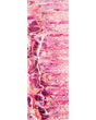 Kikiamo KK16 Flamingo Area Rug