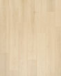 Andilet Buff Cream Oak BelleLuxe 8" Laminate