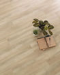 Korlok Reserve Millstone Sycamore Luxury Vinyl