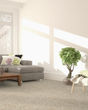 KS127 Textured 58oz Carpet