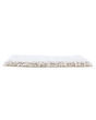 Lavish Approach Textured SmartStrand Carpet