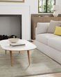 Luna 8049F Gray/Ivory Area Rug