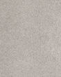 Luxuriant Feel Textured SmartStrand Carpet