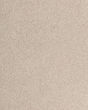 Luxuriant Feel Textured SmartStrand Carpet