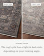 Lyra LYR-04 Ink/Multi Area Rug
