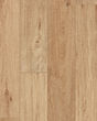 COREtec Pro Plus Enhanced Lyric Oak Luxury Vinyl