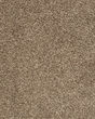 Mellow Retreat Textured SmartStrand Carpet