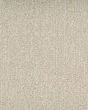 Sallida Valley Nylon Carpet