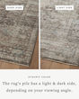 Millie MIE-03 Charcoal/Dove Area Rug
