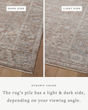 Millie MIE-04 Brick/Fog Area Rug