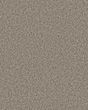 Mirador Textured 73oz Carpet