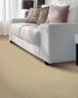 Modern Texture SmartStrand 46oz Carpet