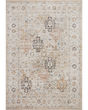Monroe MON-02 Beige/Multi Area Rug