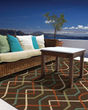 Montego 896n Brown/Ivory Area Rug