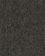 Multiplicity Textured 20oz Carpet