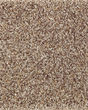 Natural Beautiful II SmartStrand Carpet