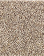 Natural Beautiful II SmartStrand Carpet