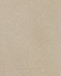 Natural Legacy Patterned SmartStrand Carpet