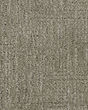 Natural Victory Patterned SmartStrand Carpet