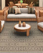 Naturalistic Adobe Natural/Brown Area Rug