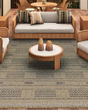 Naturalistic Sonoran Natural/Charcoal Area Rug